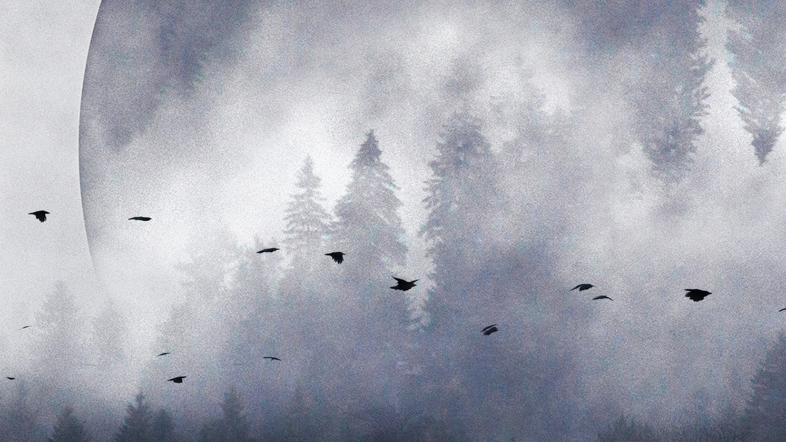 Pfingstgeflüster 2025